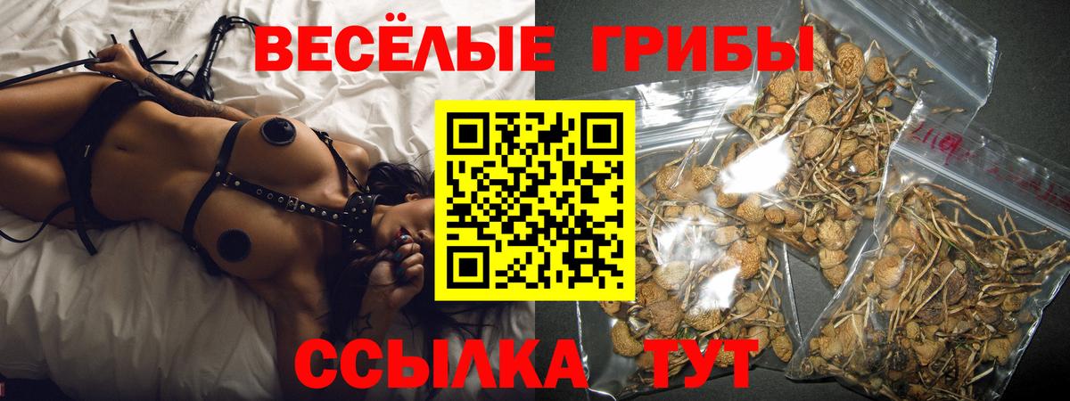 закладки  Галлюциногенные грибы Cubensis  Вход с VPN  Дедовск 